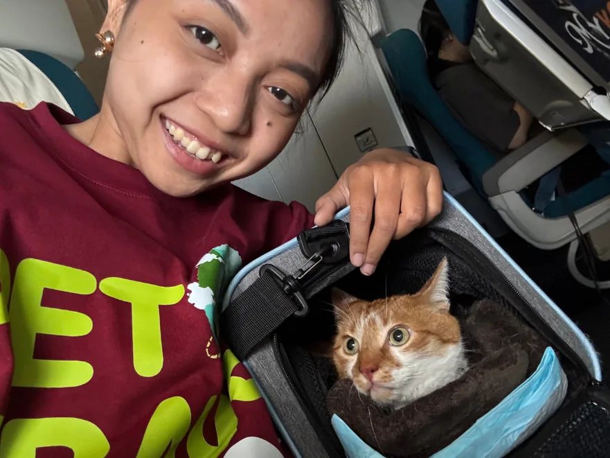 Pet Travel Asia handler seated in the aircraft cabin beside a cat in a soft carrier
