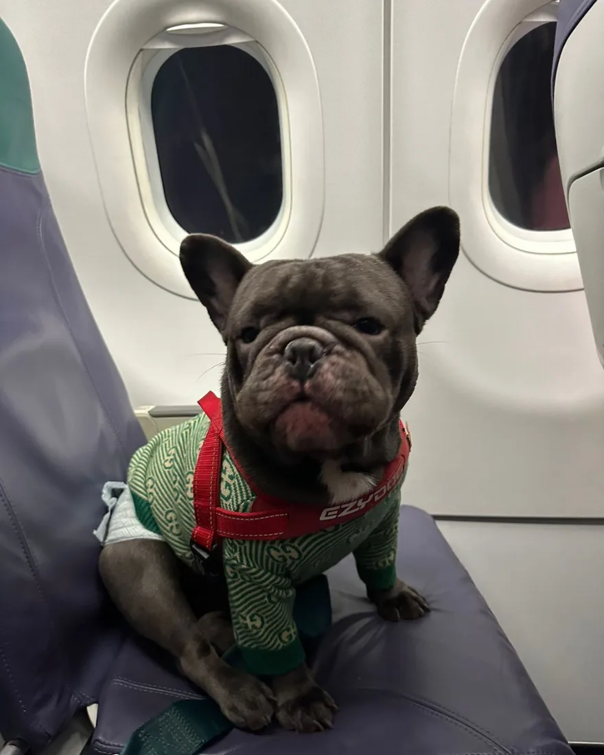 In-cabin, own seat