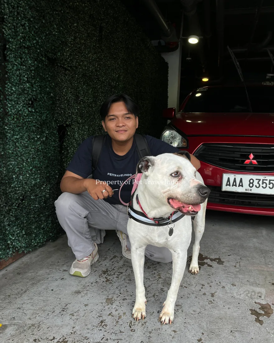 Chiko, arrival day