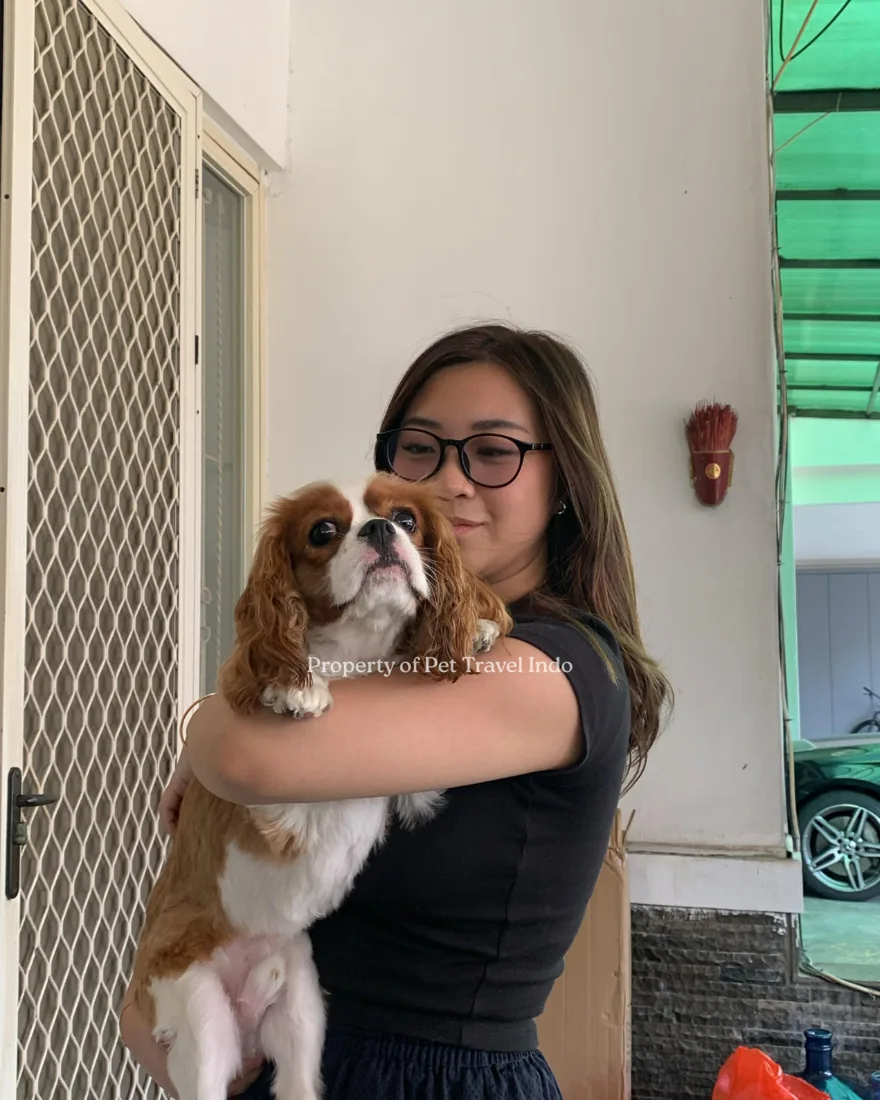 Oliver, safely home