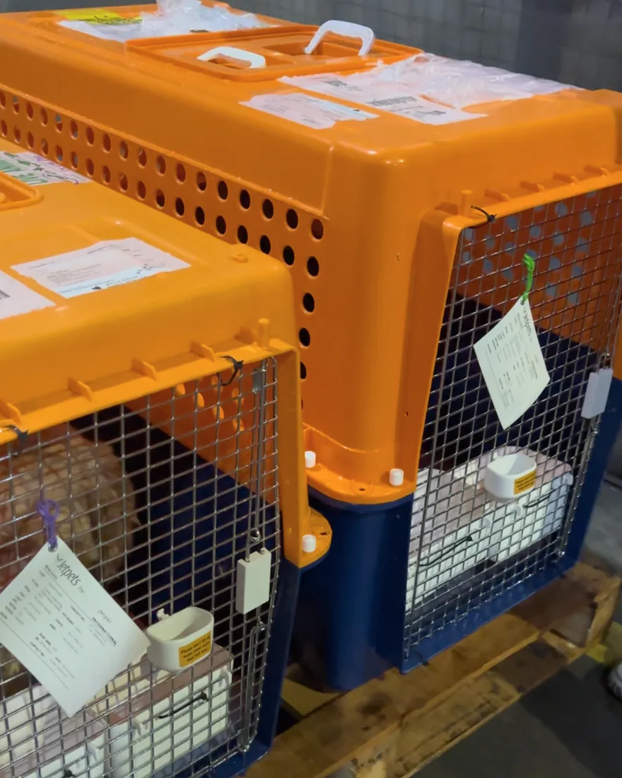 Travel crates, cargo-ready