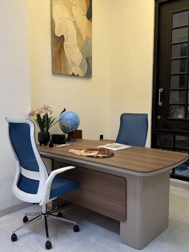 Consultation desk with a globe at the Pet Travel Asia office