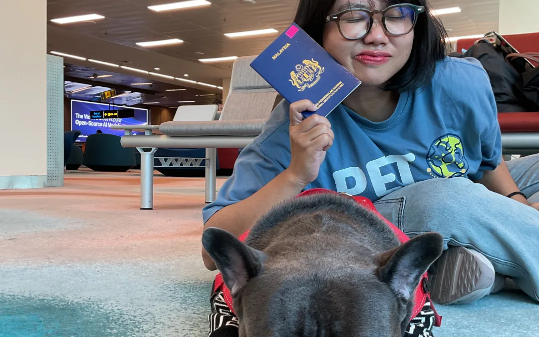 Handler holding a Malaysian pet passport beside a French Bulldog at the airport
