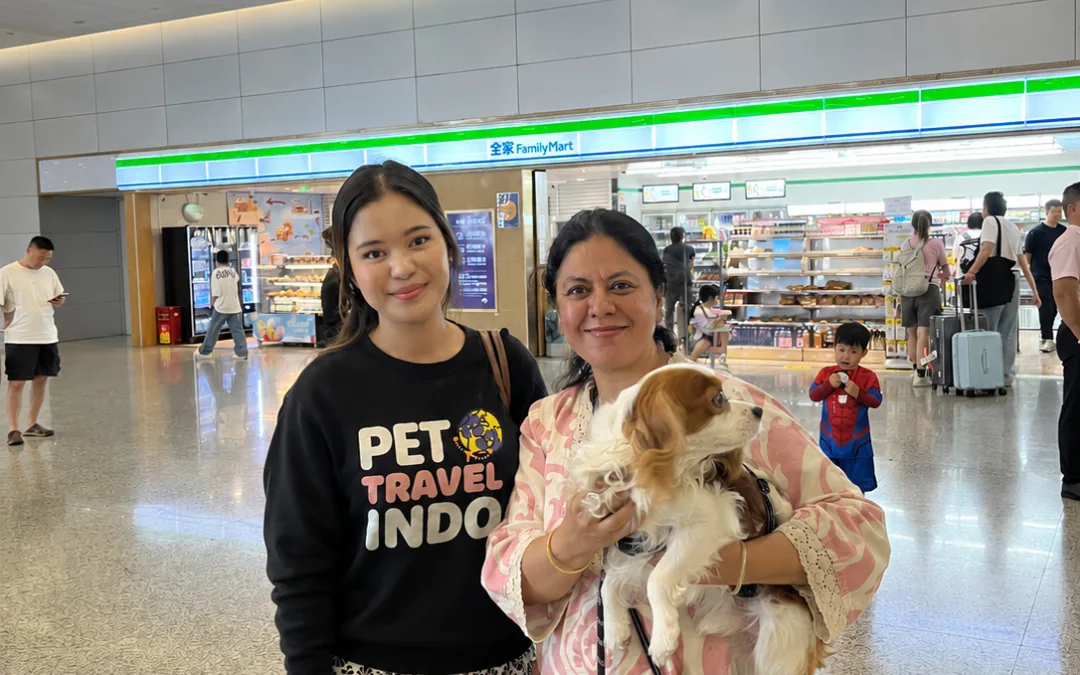Handler returning a Cavalier King Charles Spaniel to its owner in the arrivals hall