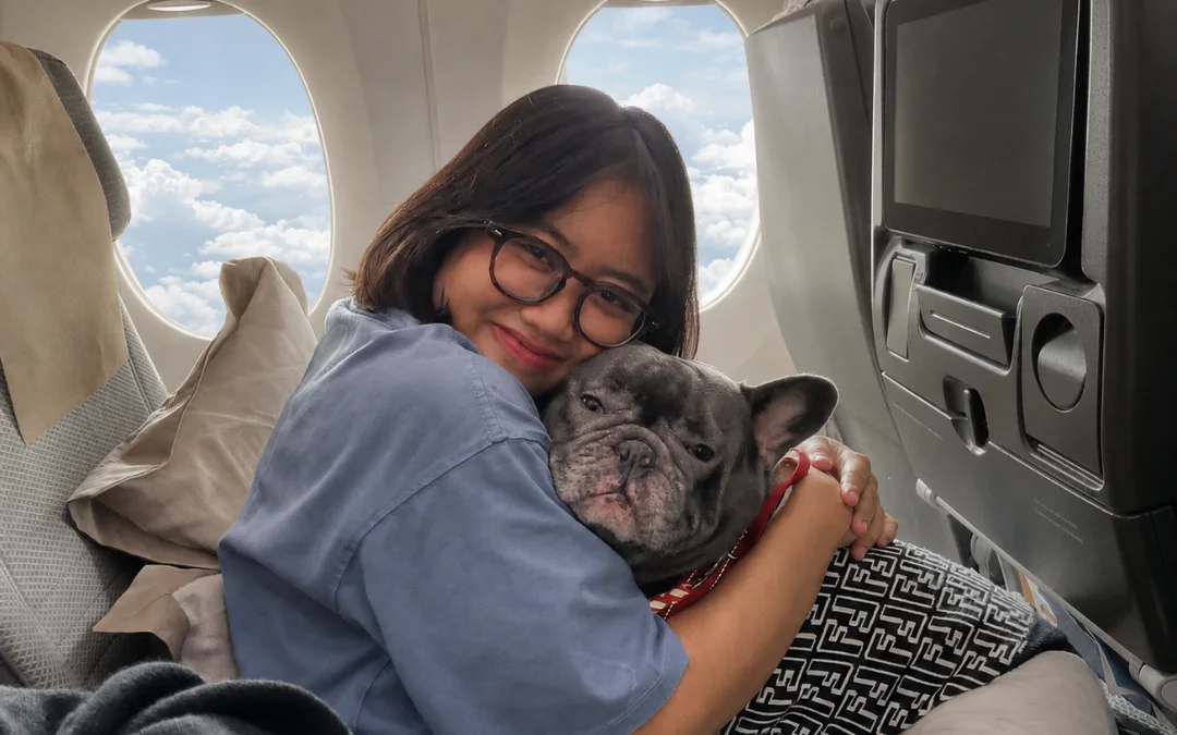 French Bulldog resting against a team member inside the aircraft cabin