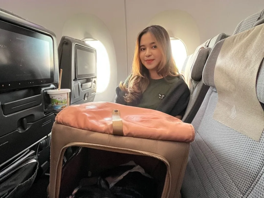 A calm pet in a soft cabin carrier under an aircraft seat with a reassuring hand nearby