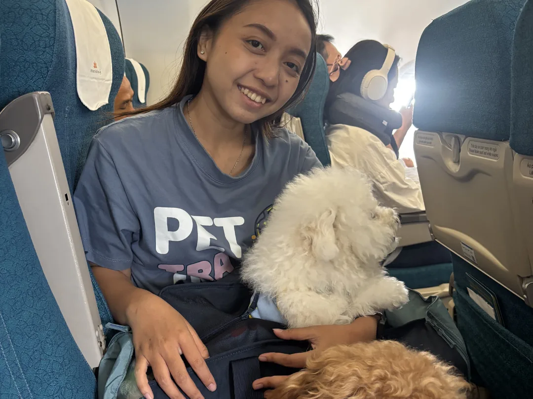 A Pet Travel Asia specialist accompanying relaxed dogs in an airport terminal