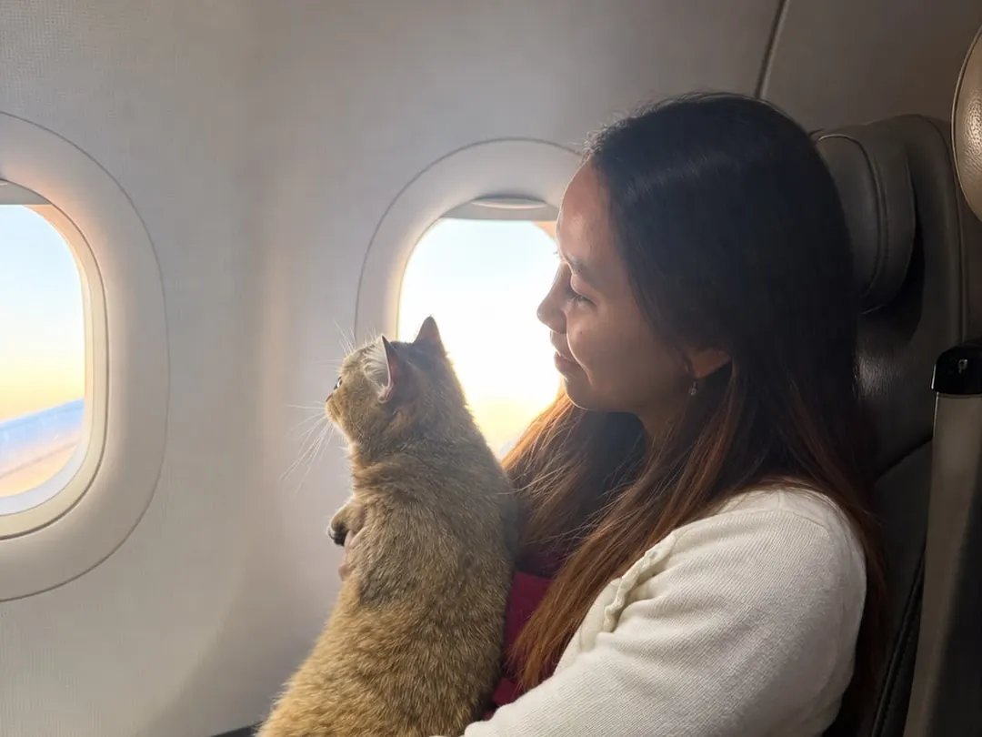 Escort holding a cat up to the cabin window at sunrise