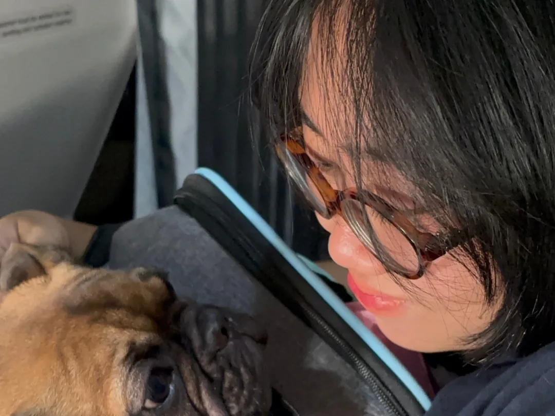 Escort leaning close to a Pug settled in its cabin carrier