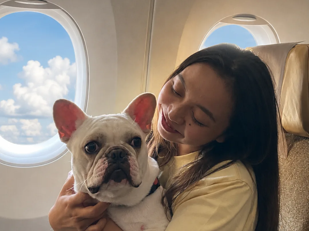 Escort holding a white French Bulldog by the cabin window