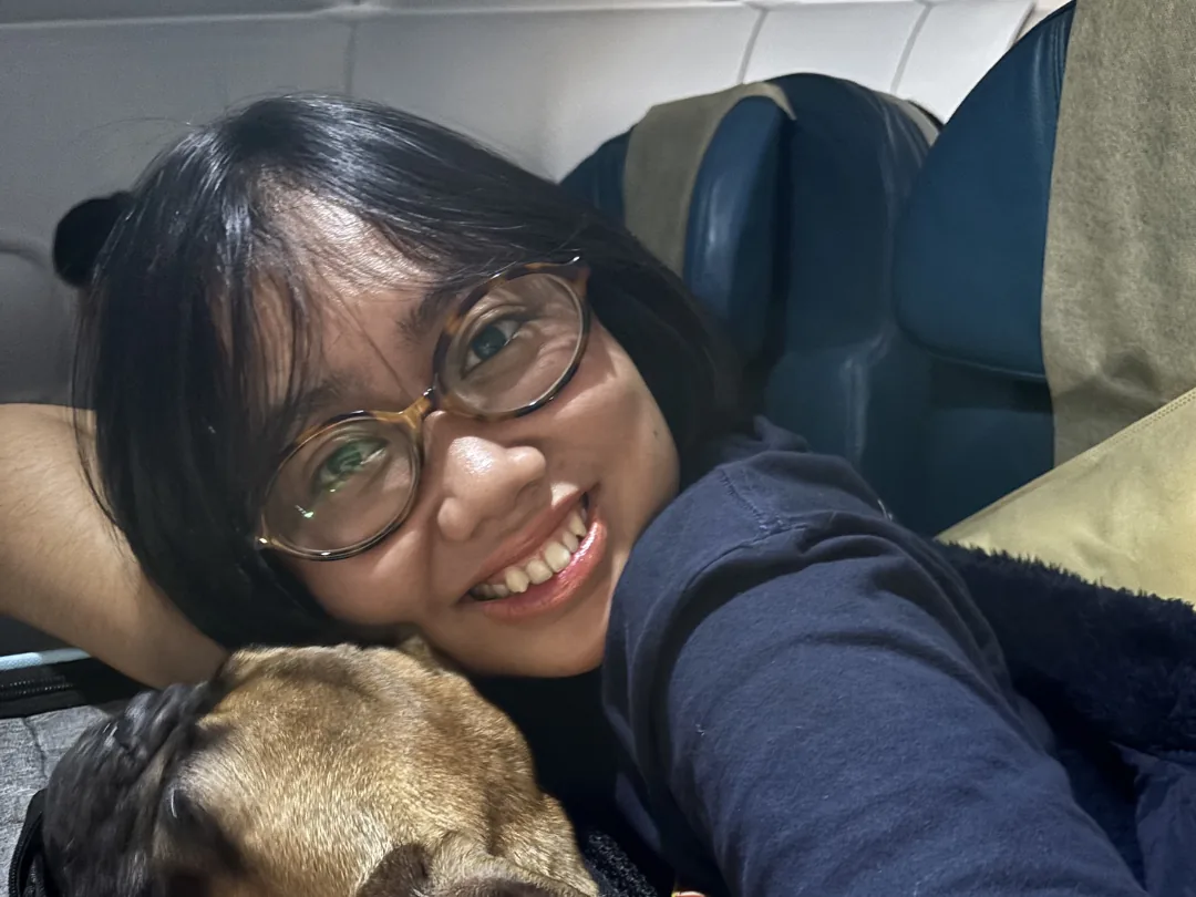 Escort holding a French Bulldog on their lap during the flight
