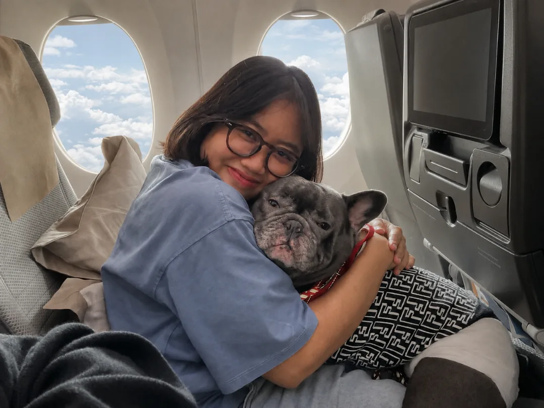 Escort resting with a French Bulldog beside the cabin window