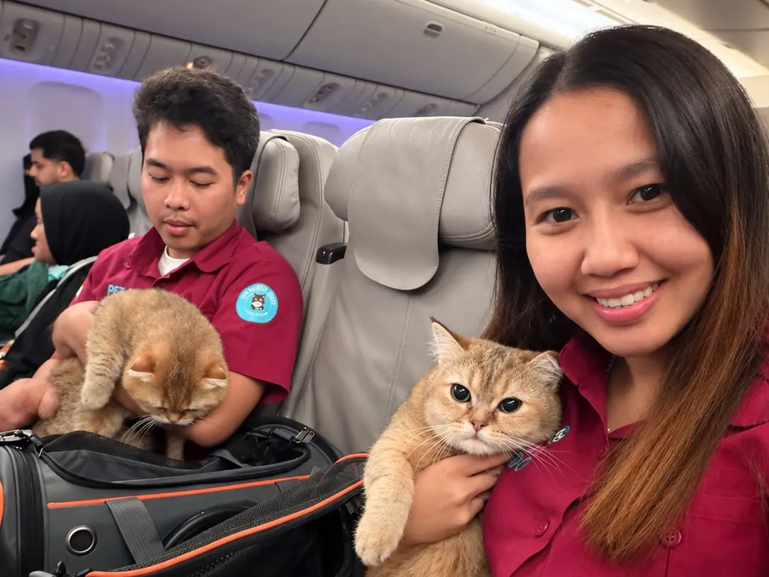 Two escorts, each with a cat, on the same flight