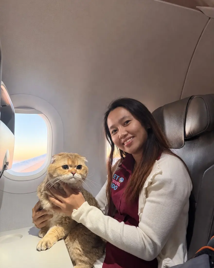 Escort smiling with a golden cat on her lap in the cabin