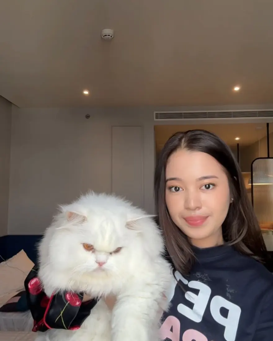 Escort holding a white Persian cat in a hotel room