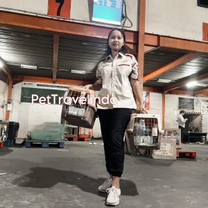 moving pet agent
