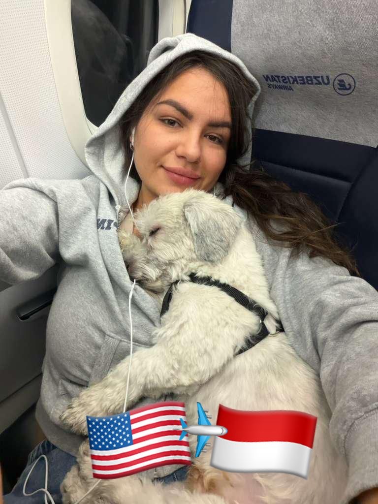 relocate pets to indonesia, bring pets to indonesia, pet relocation, bring dog, relocation dog, pet shipping - america USA to indonesia pet shipment
