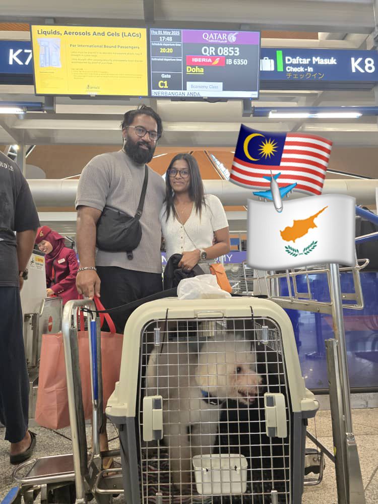relocate pets to indonesia, bring pets to indonesia, pet relocation, bring dog, relocation dog, pet shipping - pet from malaysia to cyprus