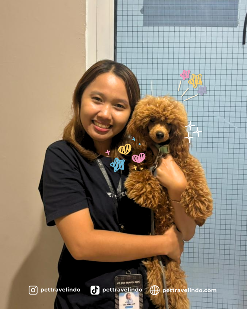 bring dogs to indonesia, bring dog to indonesia, dog shipment from croatia, croatia dog shipping, to indonesia