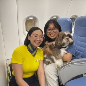 bring pets from philippines, bring dogs to indonesia, pet relocation indonesia, pet relocation service, pet expert