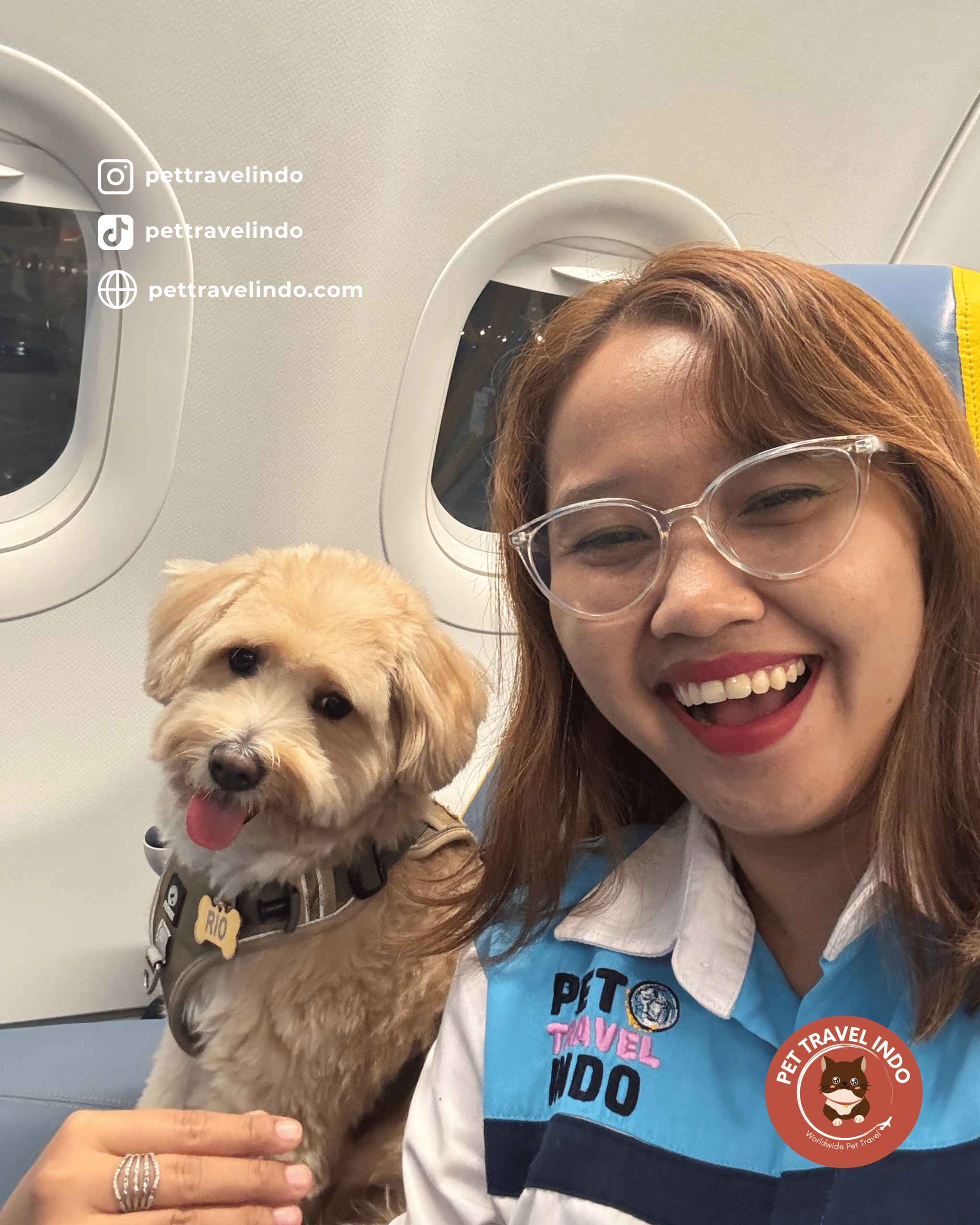 relocate pets to indonesia, bring pets to indonesia, pet relocation, bring dog, relocation dog, pet shipping - philippines